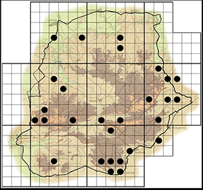 Coeliades pisistratus Waterberg distribution